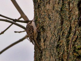 Huis - Tuin & Keuken